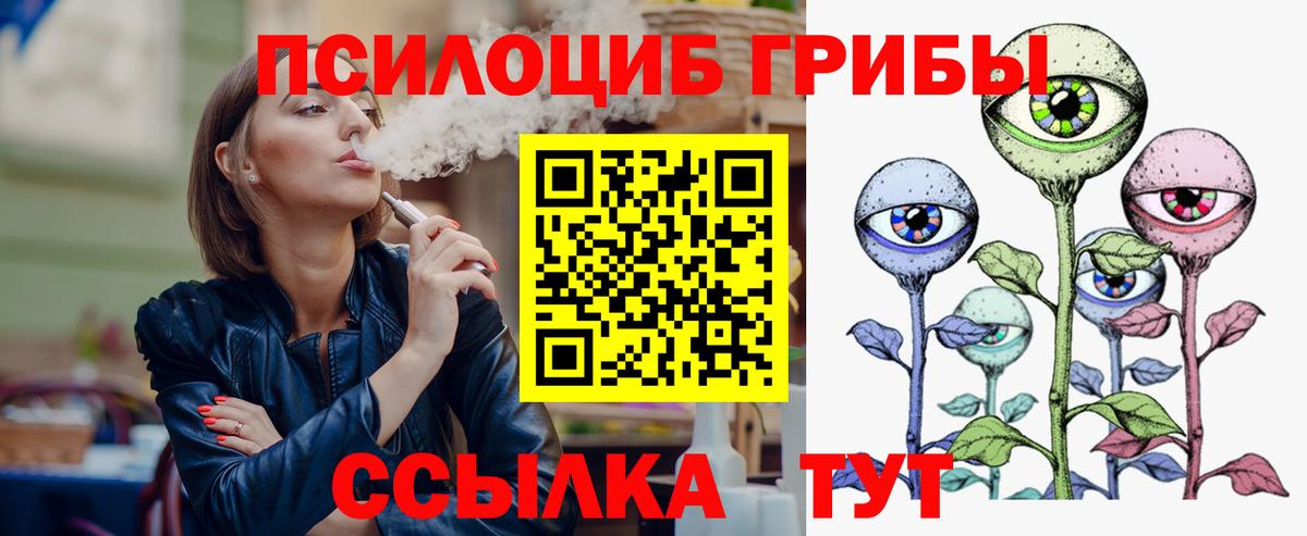 сколько стоит  Вход с VPN  Ступино  Псилоцибиновые грибы GOLDEN TEACHER 