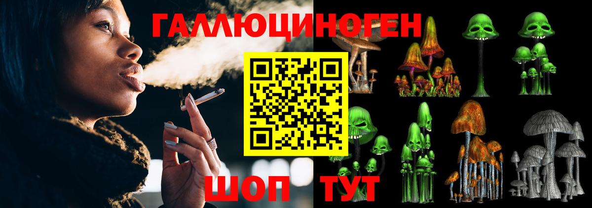 Псилоцибиновые грибы GOLDEN TEACHER Ступино