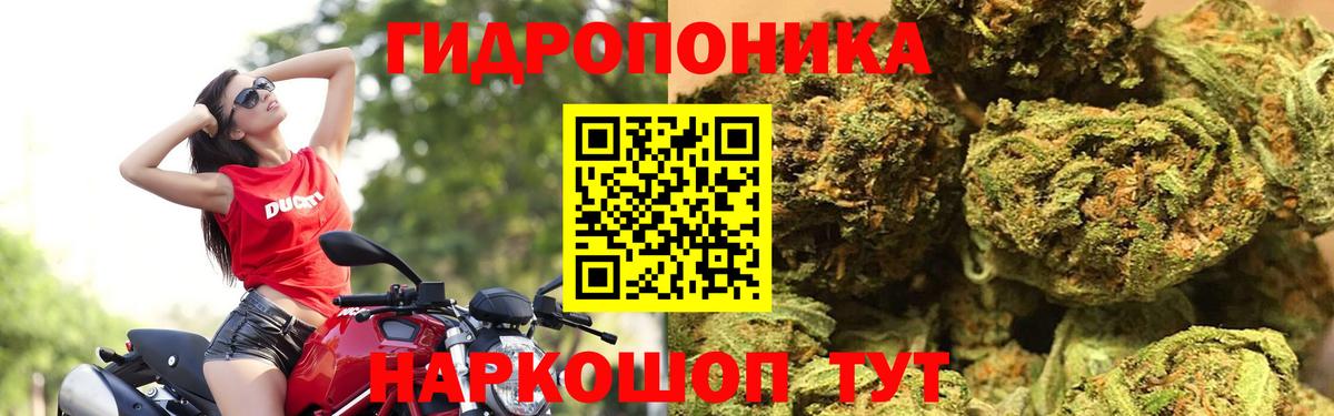Бошки марихуана ГИДРОПОН  Вход с VPN  Бошки марихуана Amnesia  Ступино  Конопля сатива 